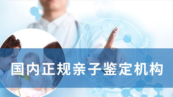 郑州上户口做亲子鉴定需要多少钱